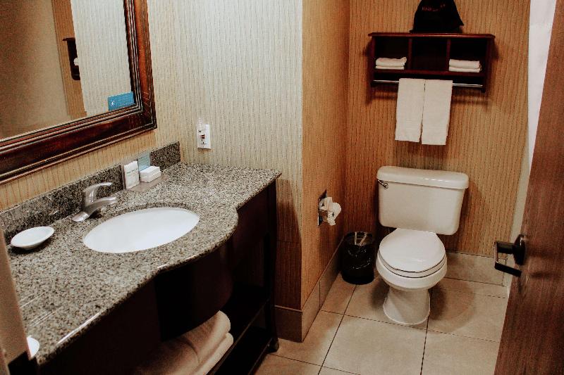 غرفة قياسية سرير كينج, Voco Sarasota, An Ihg