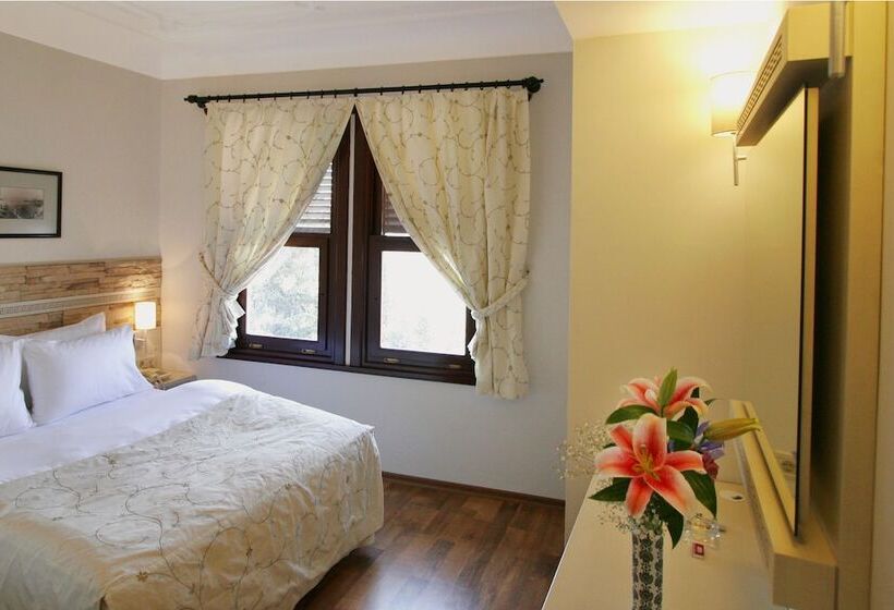 اتاق خانوادگی با چشم‌انداز باغ, Aspen Hotel Kaleiçi