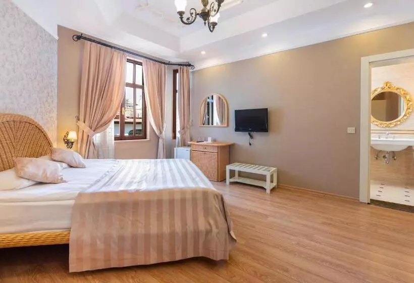 اتاق لوکس با چشمانداز باغ, Aspen Hotel Kaleiçi