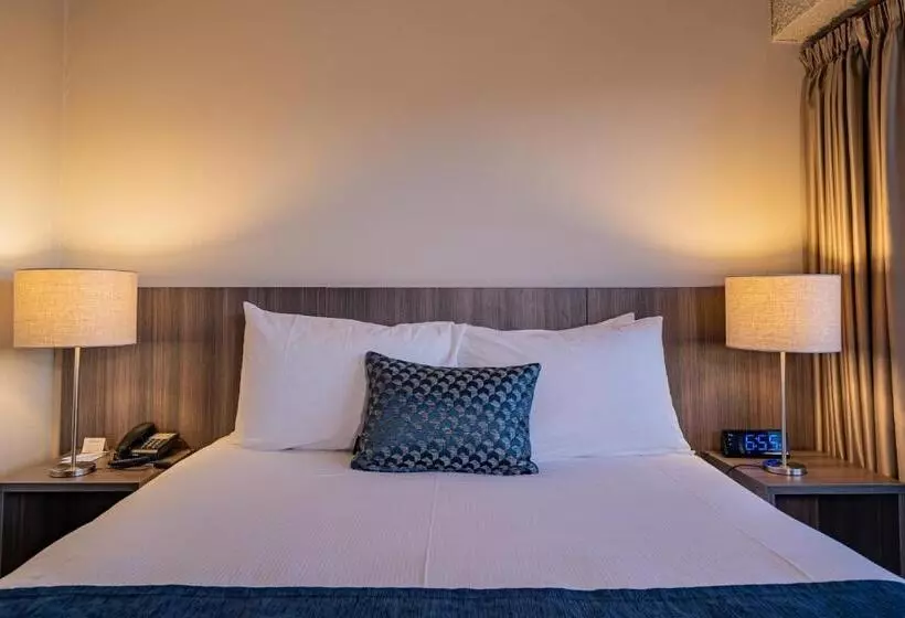 سوییت جونیور, Kingsgate Hotel Dunedin
