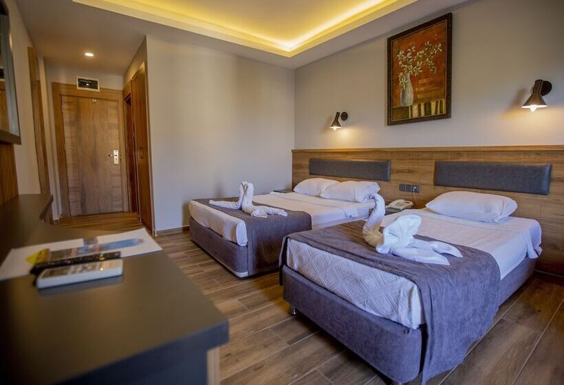 스탠다드 룸 풀장 전망, Fatih Hotel Kleopatra