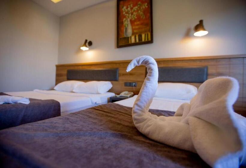 스탠다드 룸 풀장 전망, Fatih Hotel Kleopatra