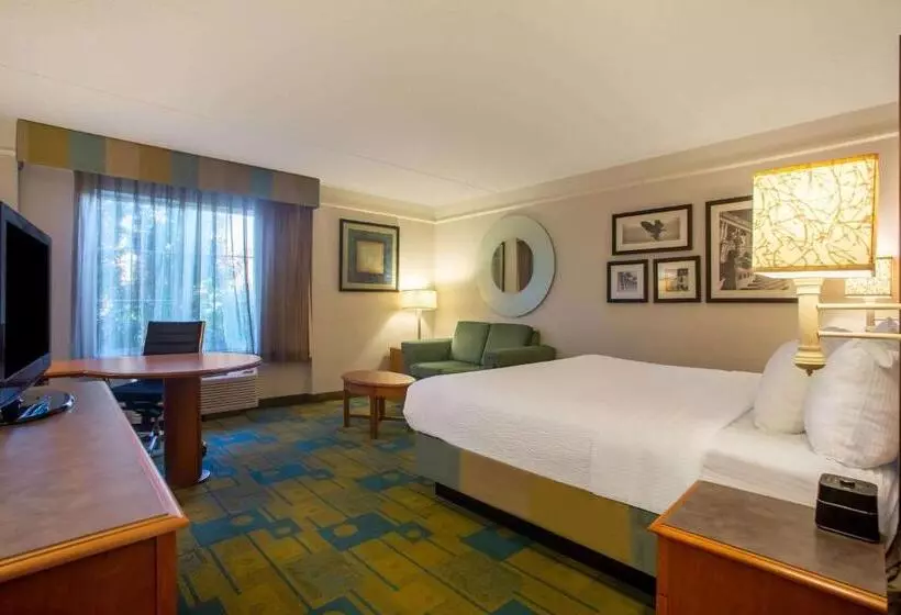 身障者適用キングサイズベッドルーム, La Quinta By Wyndham Charlotte Airport South