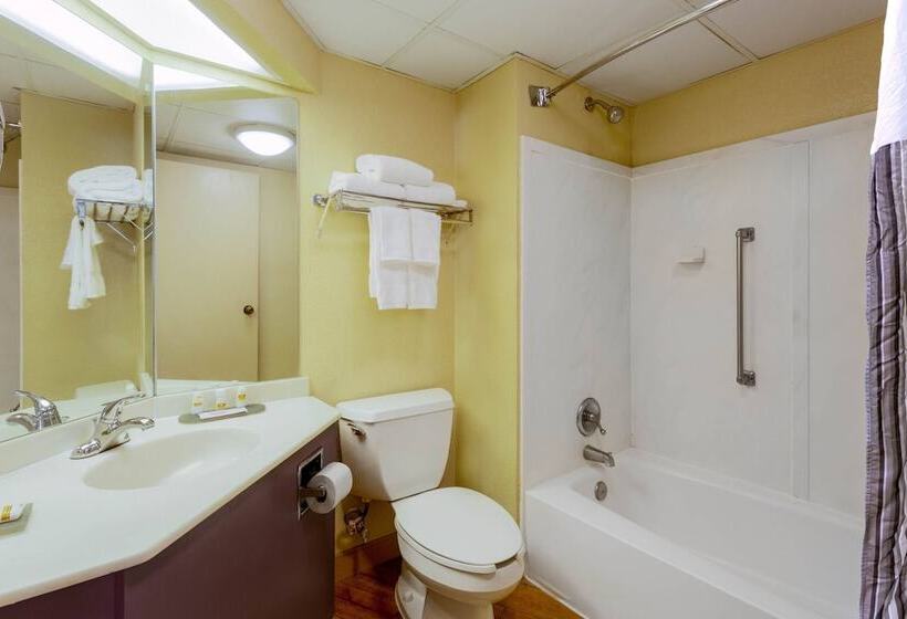 Номер Стандарт 2 Двуспальные Кровати, La Quinta By Wyndham Charlotte Airport South