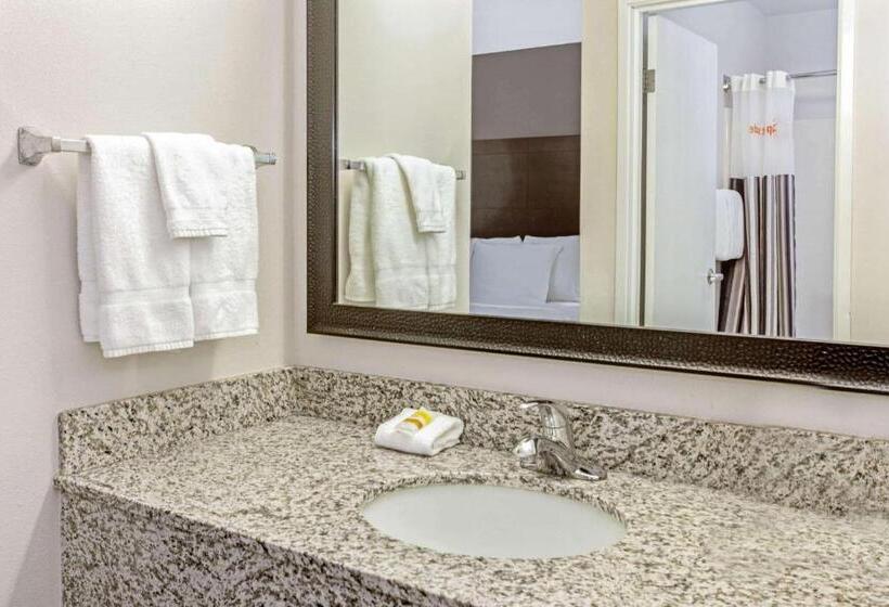 스탠다드 룸 킹사이즈 침대, La Quinta By Wyndham Milwaukee Delafield