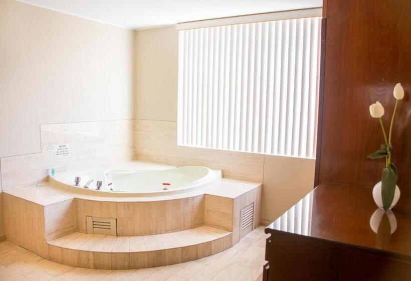 Люкс Superior, Park Suites