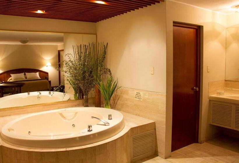 디럭스 스위트, Park Suites