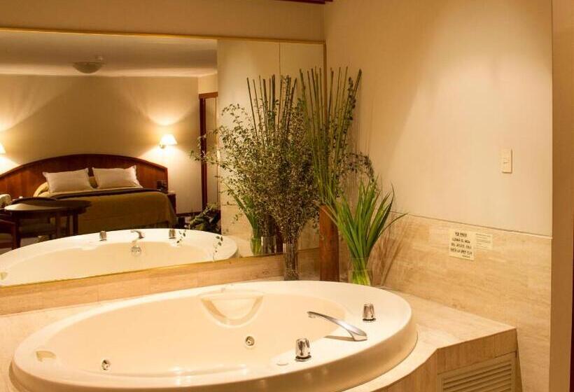 디럭스 스위트, Park Suites