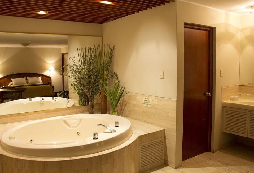 디럭스 스위트, Park Suites