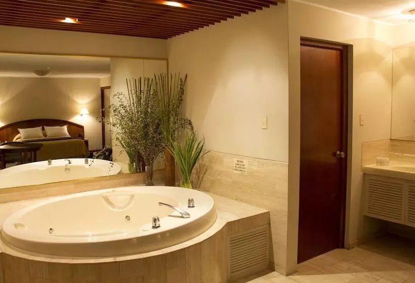 سوییت لوکس, Park Suites