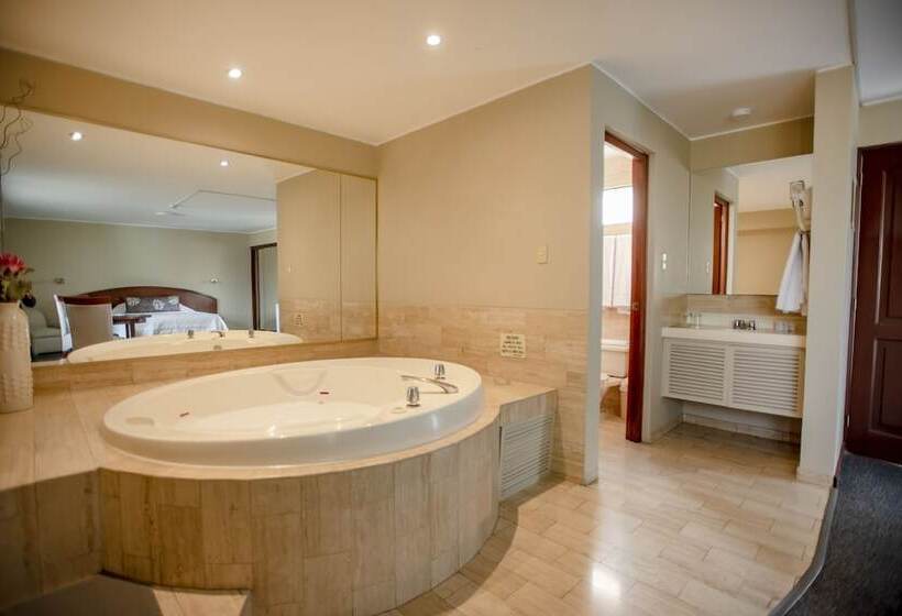 디럭스 스위트, Park Suites