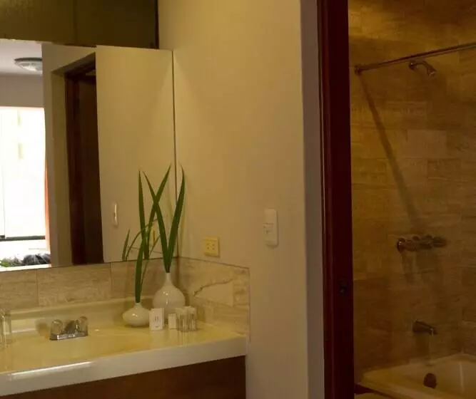 اتاق استاندارد, Park Suites