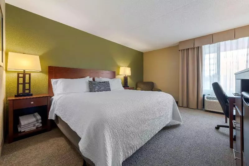 سوییت جونیور, Radisson Blu 1919 Hotel, Reykjavík
