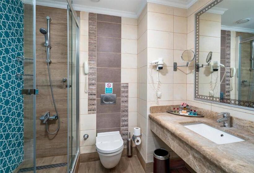 اتاق استاندارد اینتریور, Mukarnas Spa & Resort