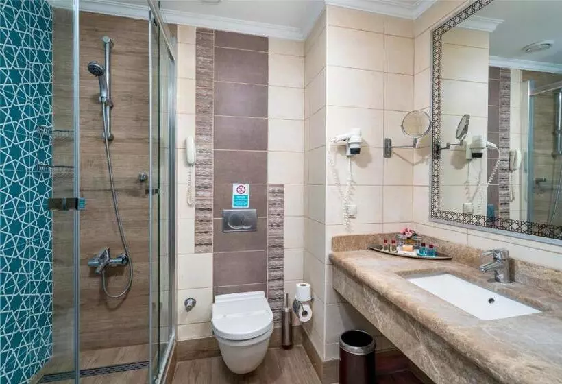 اتاق استاندارد اینتریور, Mukarnas Spa & Resort
