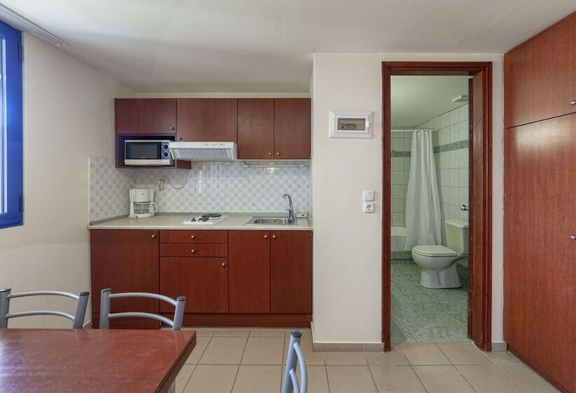 إستوديو قياسى مطلّ علي الحديقة, Olympic Suites