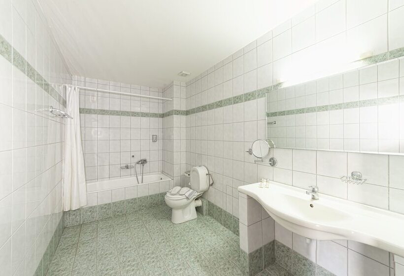 شقة غرفة واحدة مطلة على الحديقة, Olympic Suites