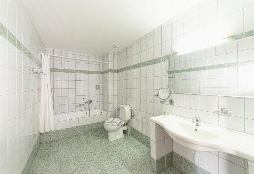 شقة غرفة واحدة مطلة على الحديقة, Olympic Suites