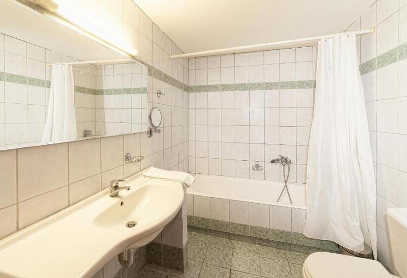 إستوديو قياسى مطلّ علي الحديقة, Olympic Suites