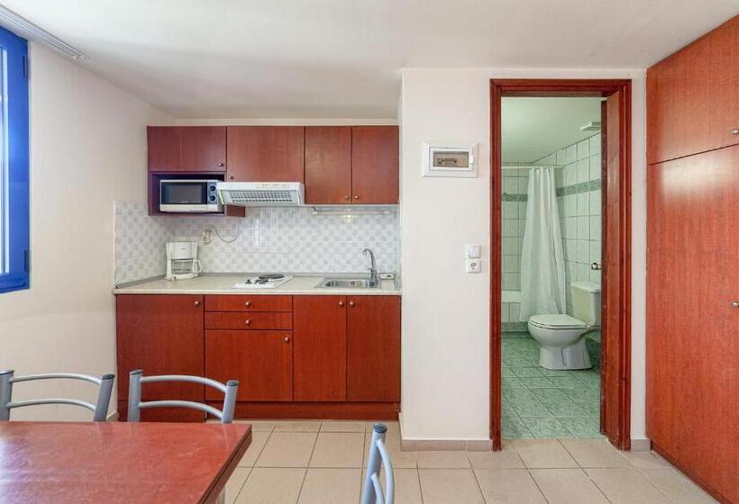 إستوديو قياسى مطلّ علي الحديقة, Olympic Suites