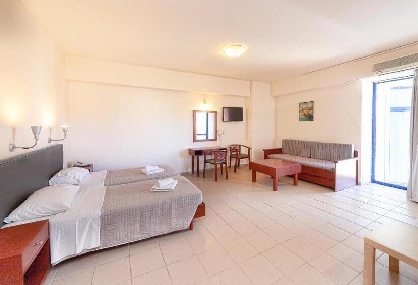 إستوديو قياسى مطلّ علي الحديقة, Olympic Suites