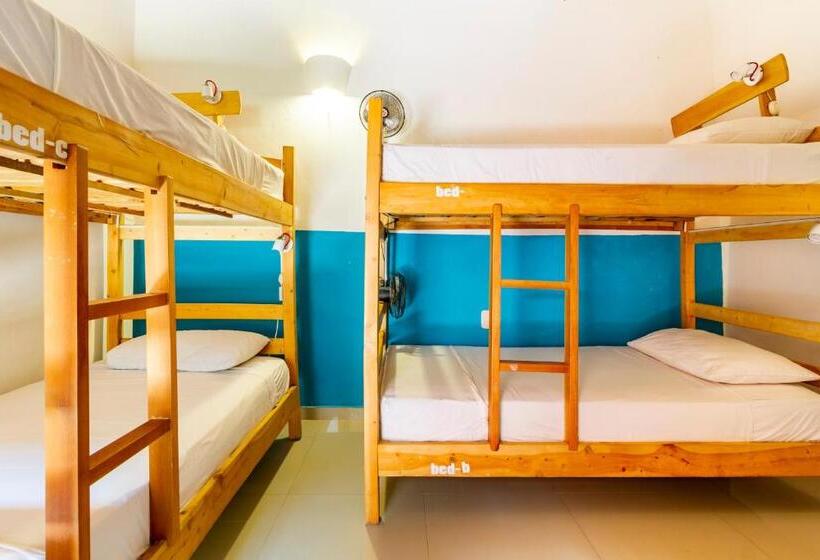 Säng i Delat Rum, Gagaka Rua Hostel