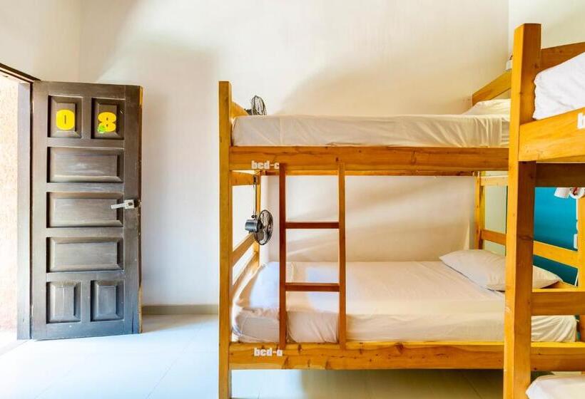 Llit en Habitació Compartida, Gagaka Rua Hostel