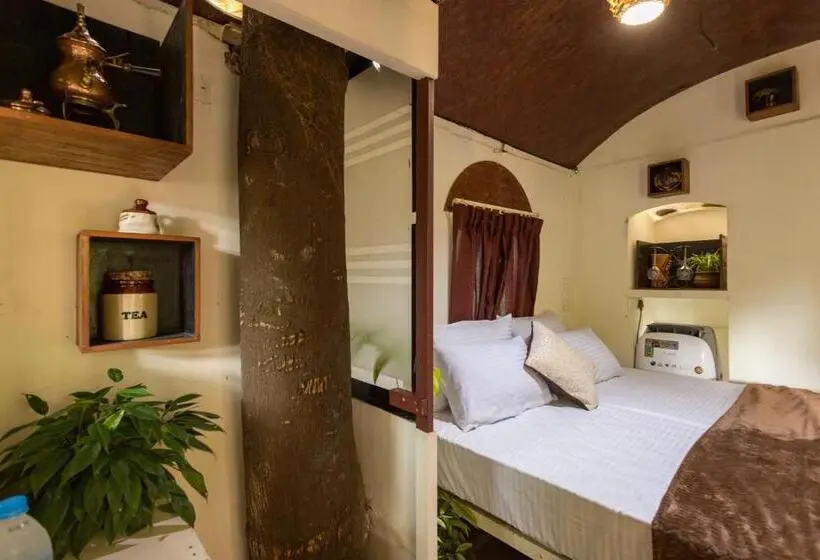 スーペリアシングルルーム, Munkudil Ayurveda & Yoga Retreat