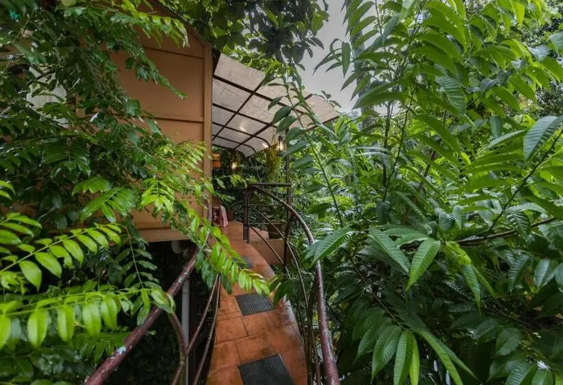 スーペリアシングルルーム, Munkudil Ayurveda & Yoga Retreat