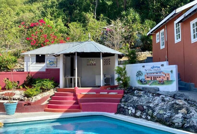 Номер Deluxe, The Blue Orchid B&b