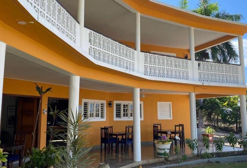 Номер Deluxe, The Blue Orchid B&b