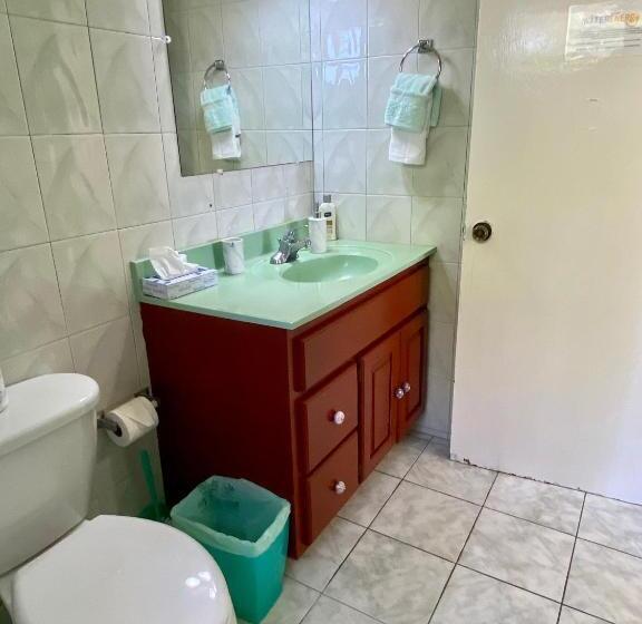 Номер Стандарт, The Blue Orchid B&b