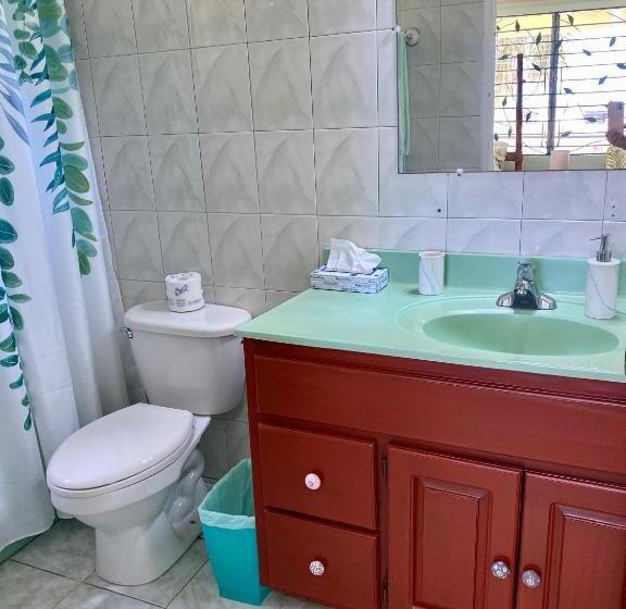 Номер Стандарт, The Blue Orchid B&b