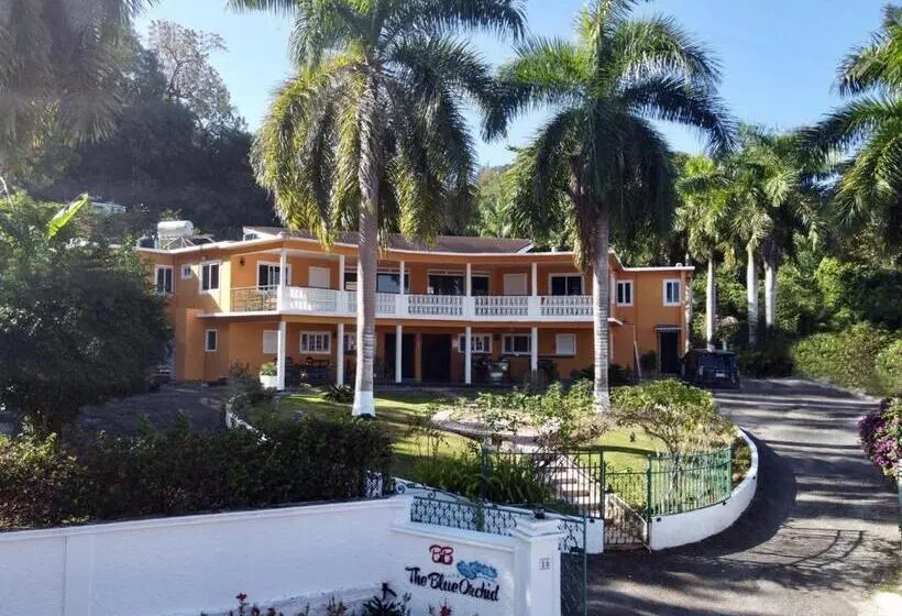 اتاق ساده سه‌ نفره, The Blue Orchid B&b