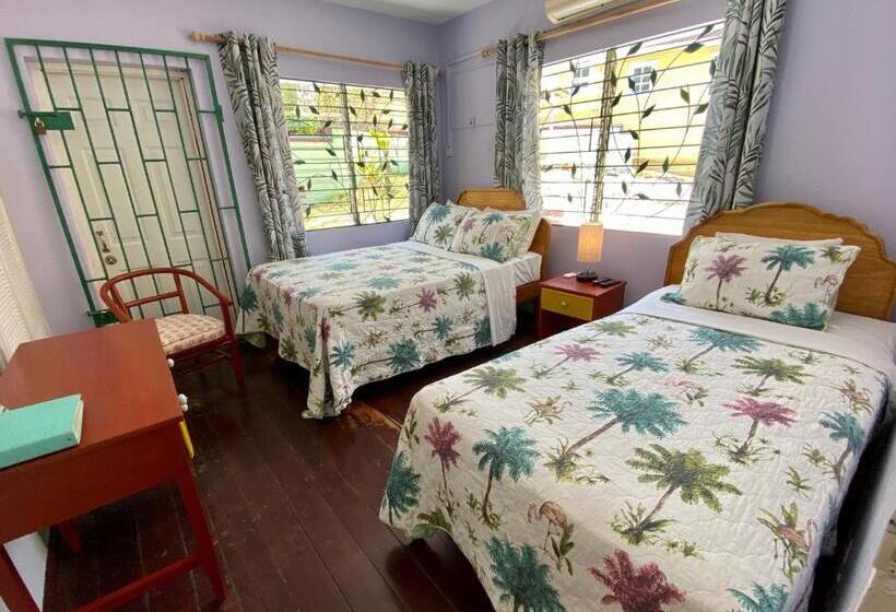 Трехместный Номер Базовый, The Blue Orchid B&b