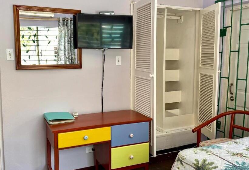 Трехместный Номер Базовый, The Blue Orchid B&b