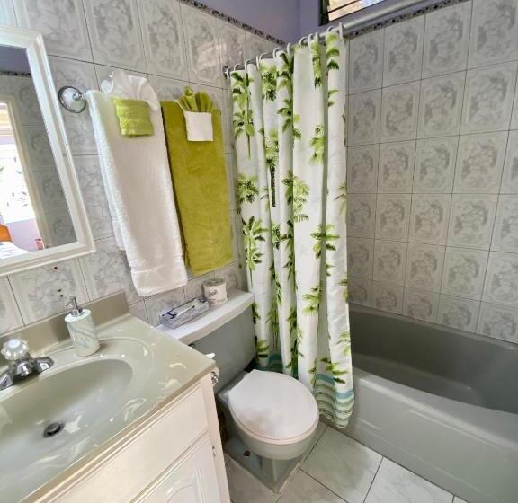 Трехместный Номер Базовый, The Blue Orchid B&b