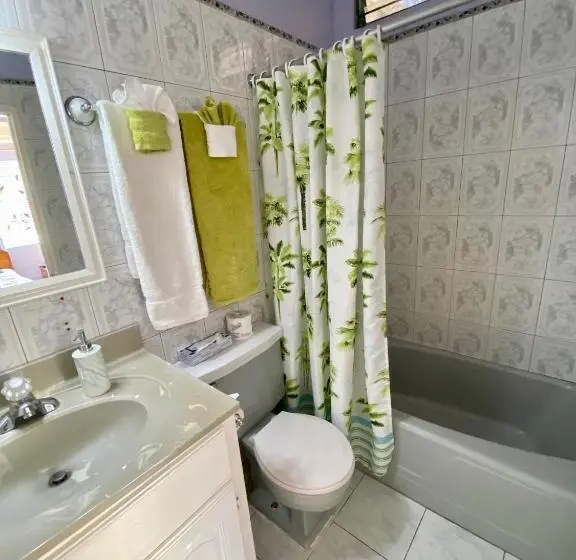 اتاق ساده سه‌ نفره, The Blue Orchid B&b