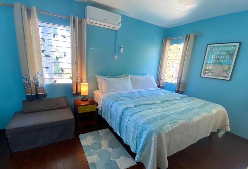 Трехместный Номер Deluxe, The Blue Orchid B&b