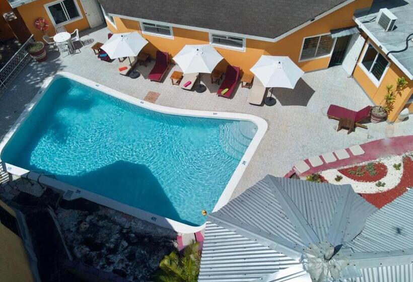 Номер Стандарт, The Blue Orchid B&b