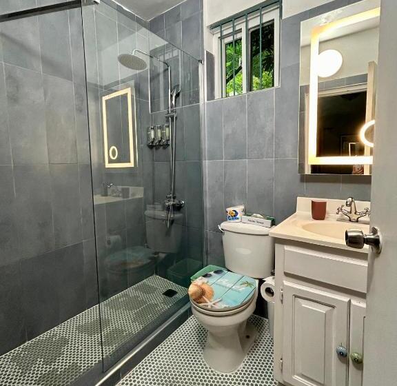 Номер Deluxe, The Blue Orchid B&b