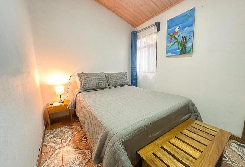 エコノミールーム, Montefresco Boutique Hostel