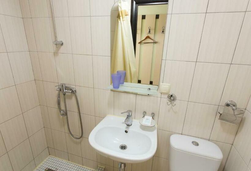 اتاق اکونومی یک تخته, Voyage