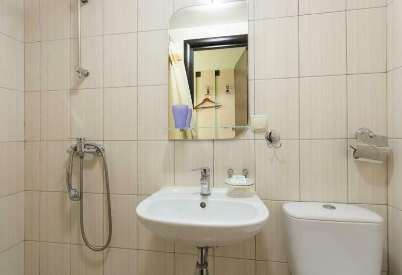 اتاق اکونومی یک تخته, Voyage