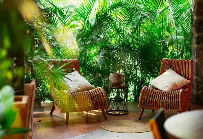 スタンダード４人部屋, La Paranera Hotel & Relax