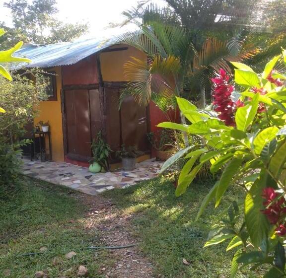 Номер Стандарт, Posadamanduka Eco Hostel