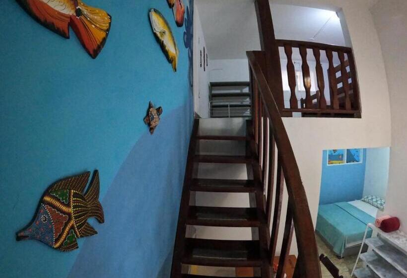 سوییت خانوادگی, Hostel Blue Lagoon