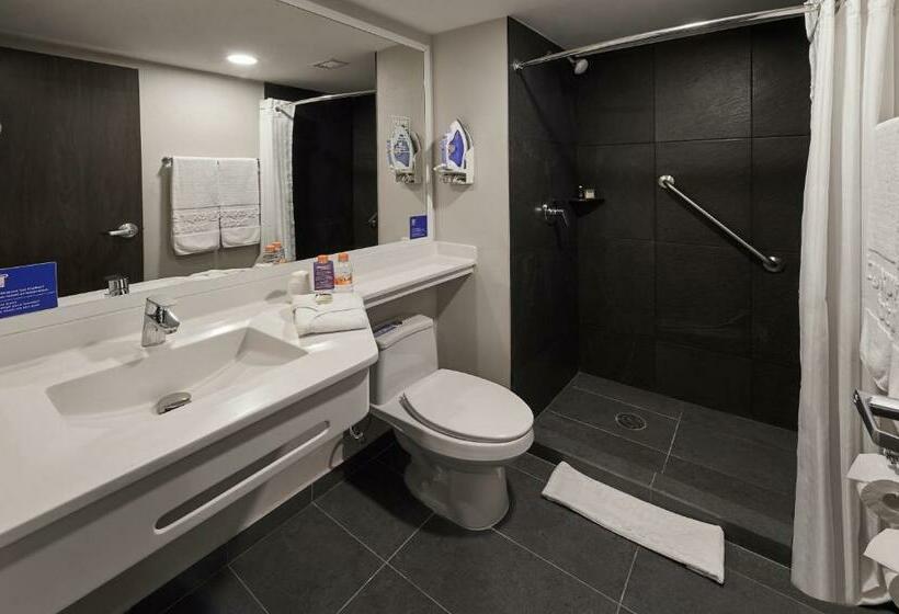 标准间, City Express By Marriott Monterrey Universidad