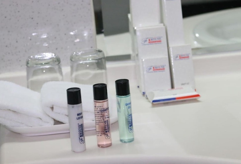 اتاق استاندارد, Dubai Grand Hotel By Fortune, Dubai Airport