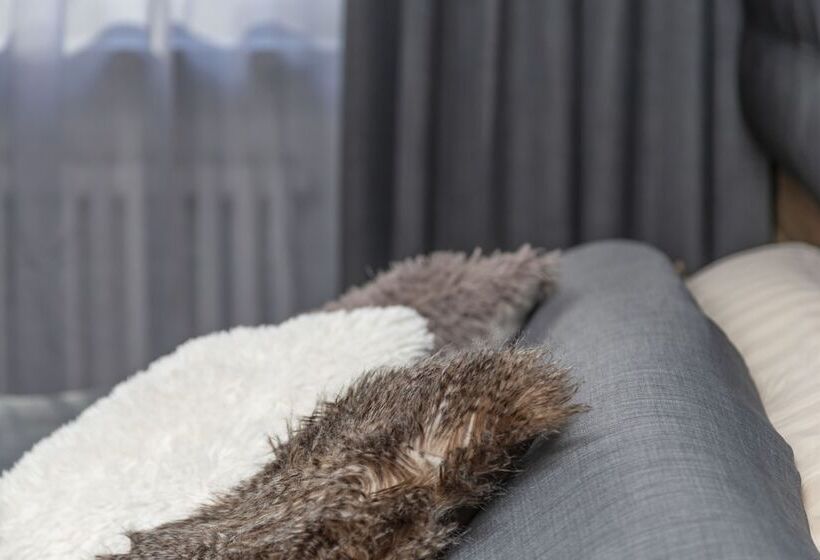 スタンダードルーム, Gran Roc